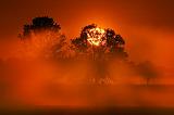 Misty Sunrise_49469